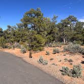 Review photo of sunset view free campground by Kathy B., March 31, 2026