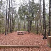 Review photo of Catface Corner Campground by Maria Mercedes M., March 31, 2026