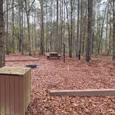 Review photo of Catface Corner Campground by Maria Mercedes M., March 31, 2026