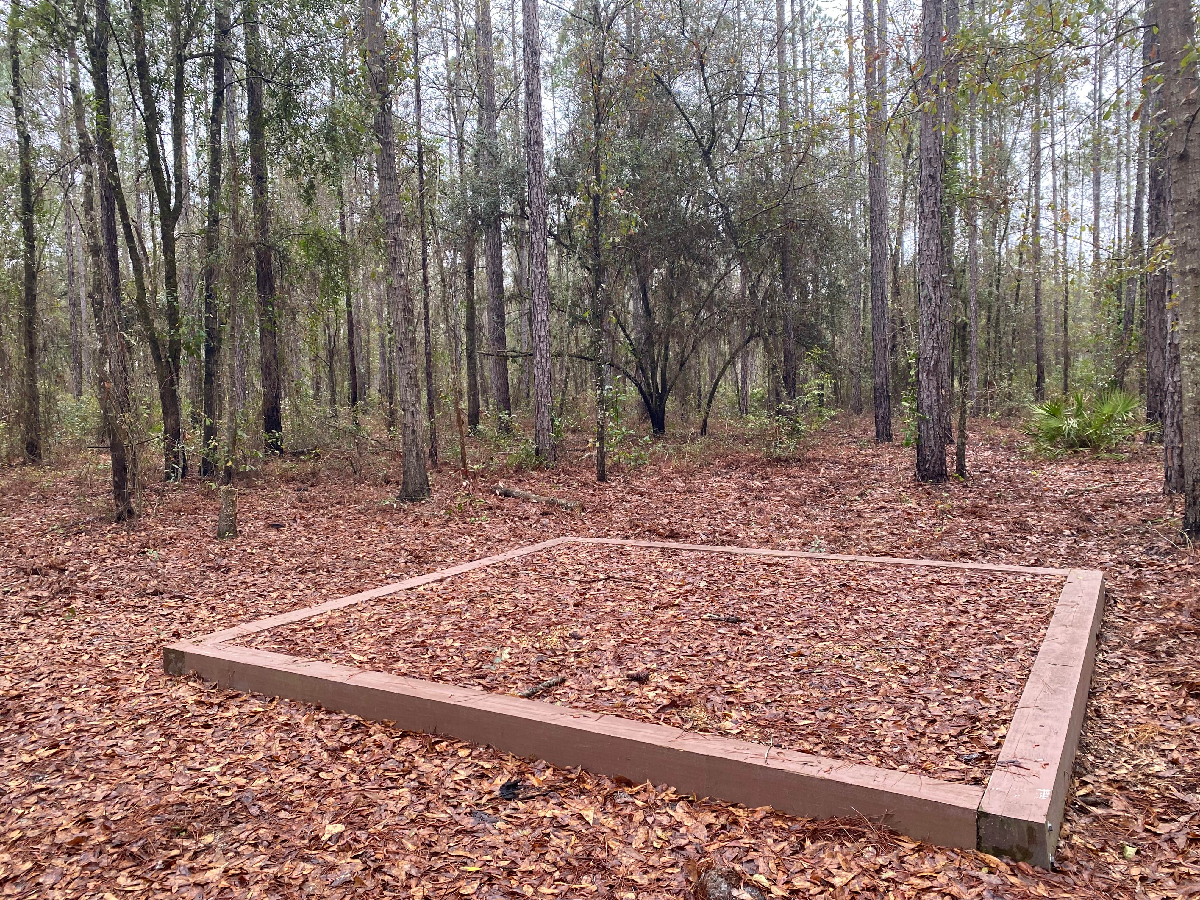 Camper-submitted photo at Catface Corner Campground near White Springs, FL