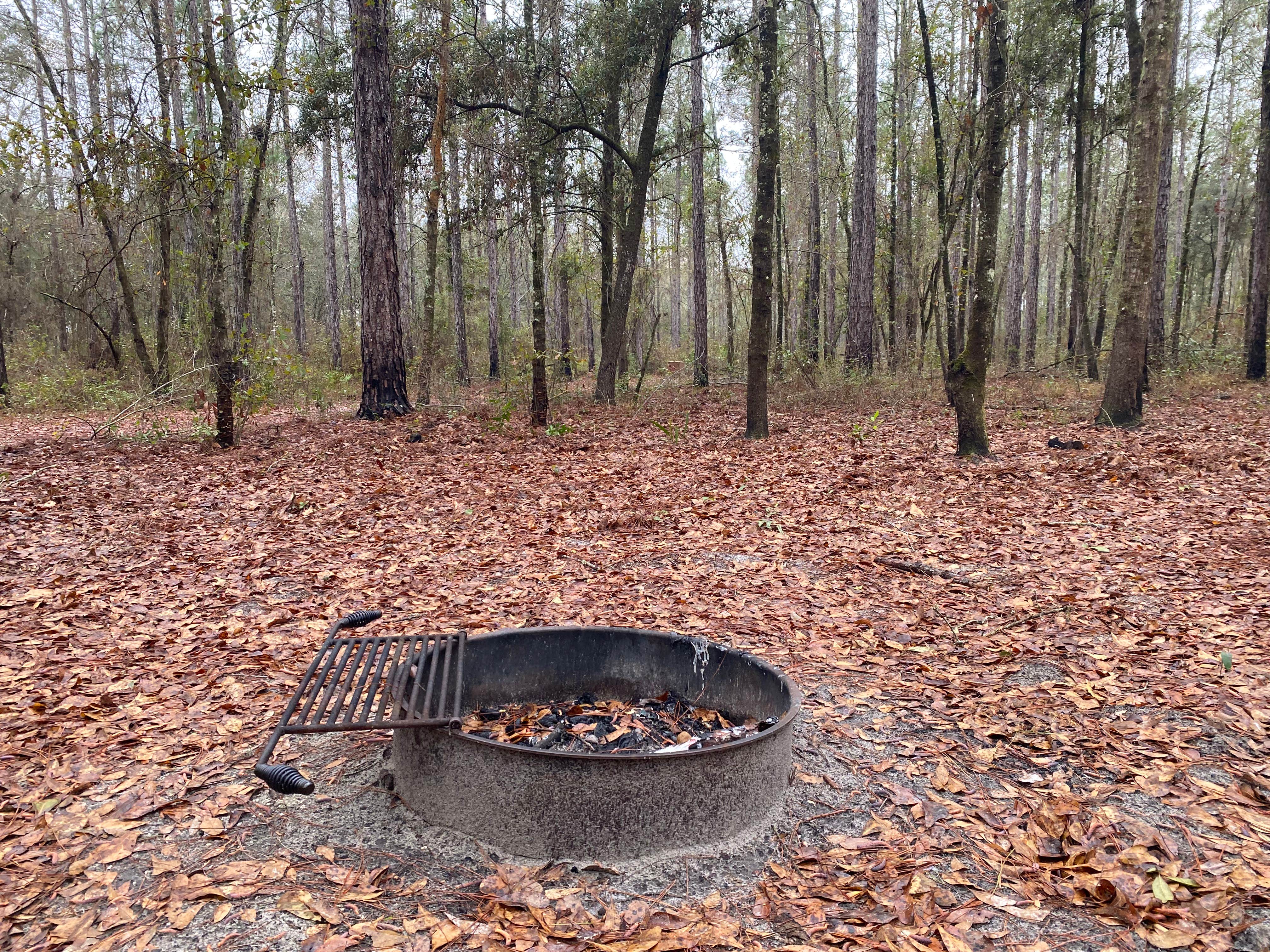 Camper-submitted photo at Catface Corner Campground near White Springs, FL