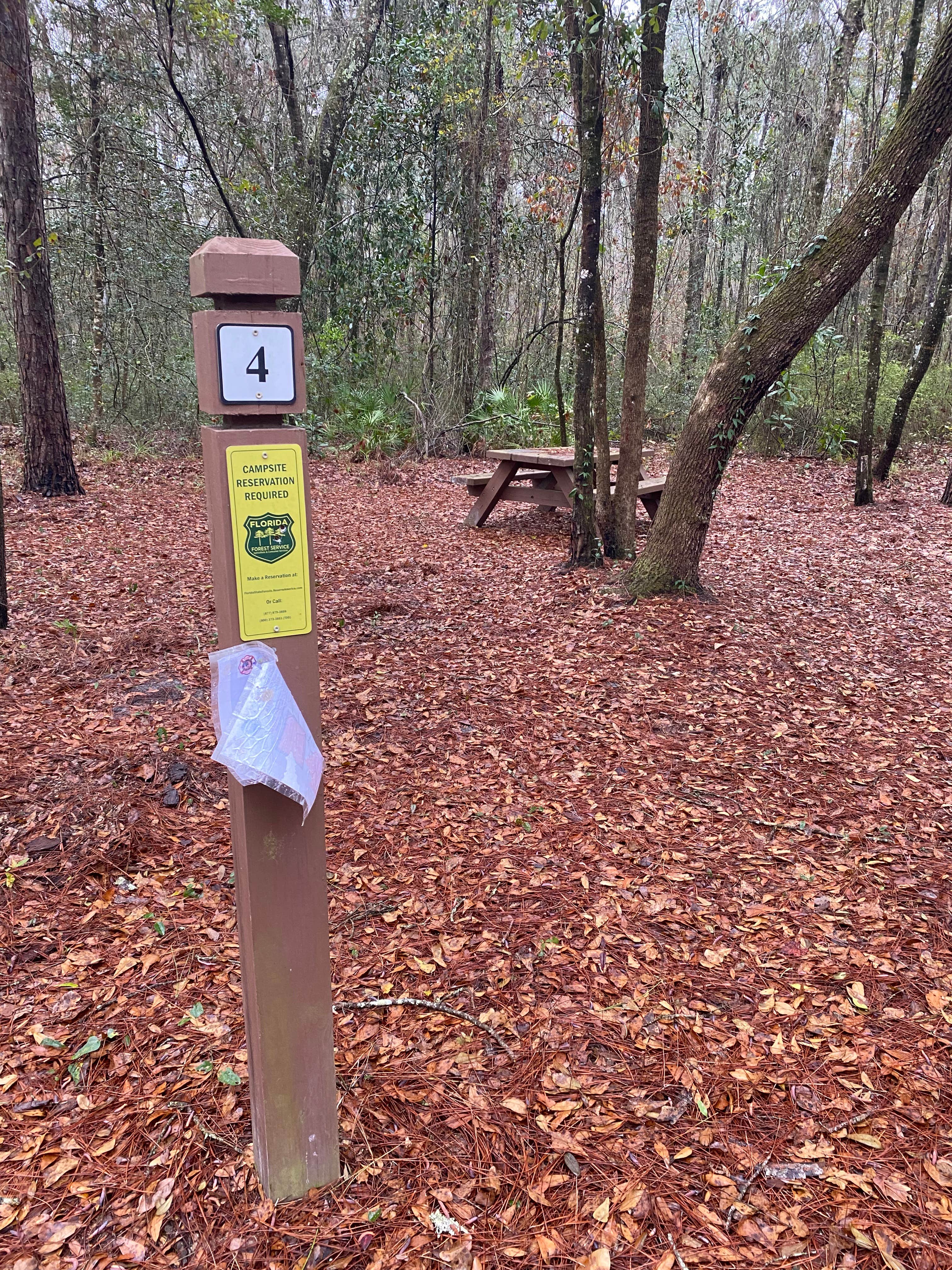 Camper-submitted photo at Catface Corner Campground near White Springs, FL