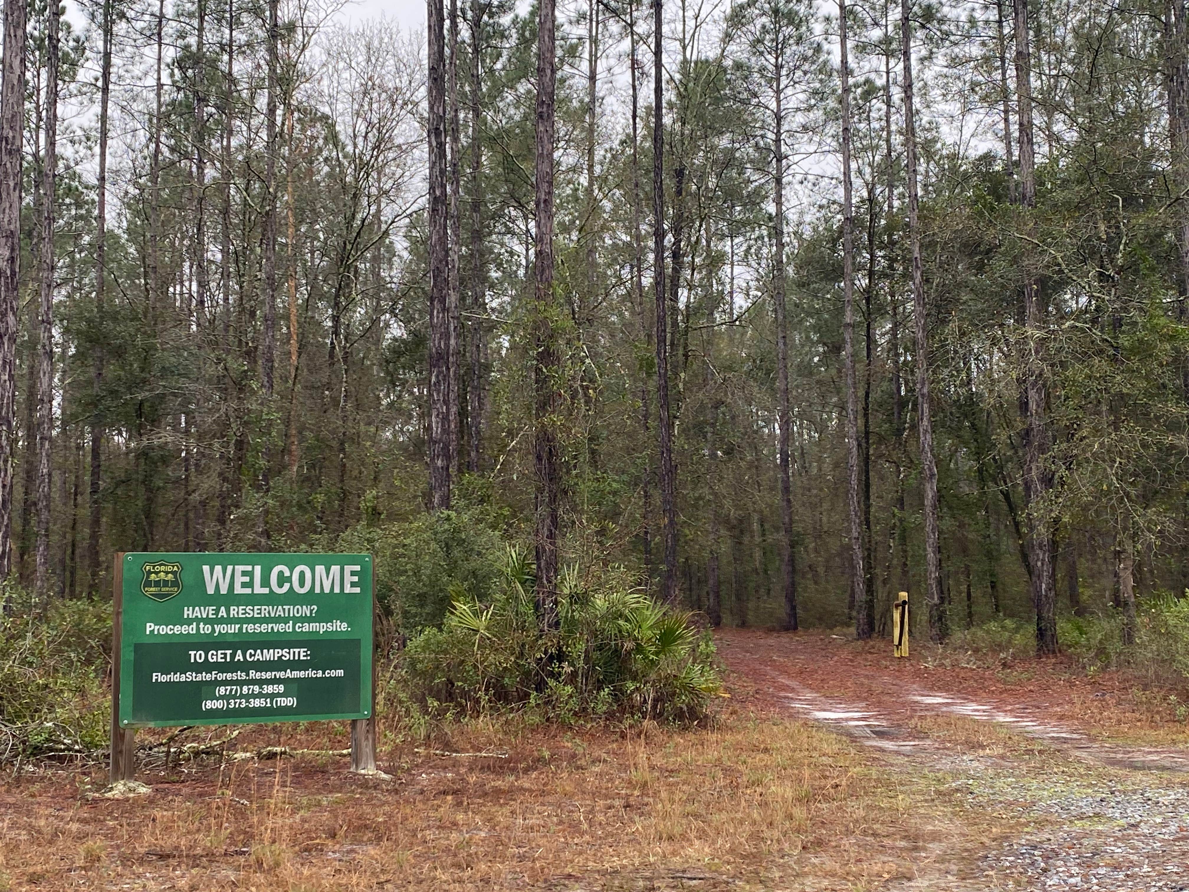 Camper-submitted photo at Catface Corner Campground near White Springs, FL