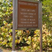 Review photo of John Pennekamp Coral Reef State Park Campground by Maria Mercedes M., March 31, 2026