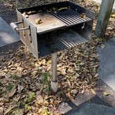 Review photo of John Pennekamp Coral Reef State Park Campground by Maria Mercedes M., March 31, 2026