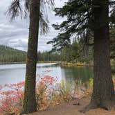 Review photo of Link Creek by Kathy B., March 31, 2026