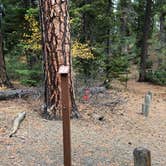 Review photo of Link Creek by Kathy B., March 31, 2026