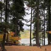 Review photo of Link Creek by Kathy B., March 31, 2026