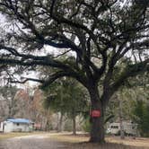 Review photo of Griffis Fish Camp by Maria Mercedes M., March 31, 2026