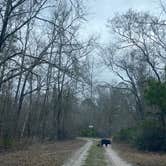 Review photo of Griffis Fish Camp by Maria Mercedes M., March 31, 2026