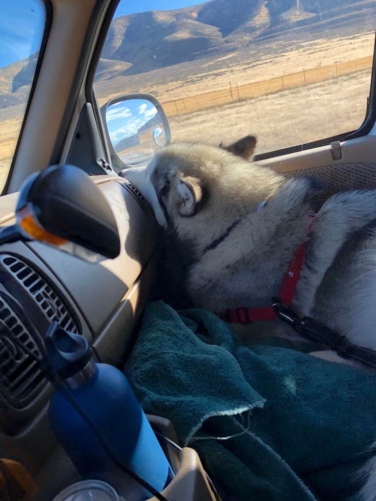 Camper-submitted photo at Century RV Park near Eden, UT