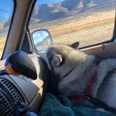 Review photo of Century RV Park by Kathy B., March 31, 2026