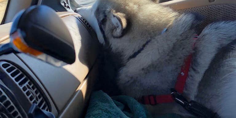 Camper submitted image from Century RV Park