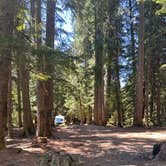 Review photo of Timothy Lake Dispersed Camping by Kathy B., March 31, 2026
