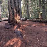 Review photo of North Arm Campground by Kathy B., March 31, 2026