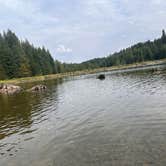 Review photo of North Arm Campground by Kathy B., March 31, 2026