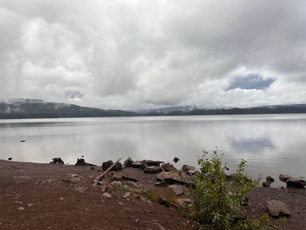 Camper-submitted photo at North Arm Campground near Mt. Hood National Forest