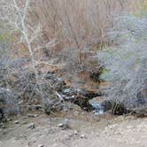 Review photo of Pine Creek Campground by karen B., March 31, 2026