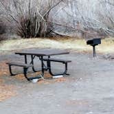 Review photo of Pine Creek Campground by karen B., March 31, 2026