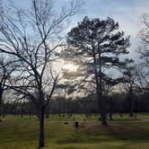 Review photo of Round Hollow Public Access Area by Ilce H., April 1, 2026