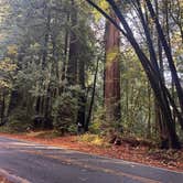 Review photo of The Heights Casino RV Lot by Kathy B., April 1, 2026