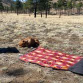 Review photo of Sunset Crater by Kathy B., April 1, 2026