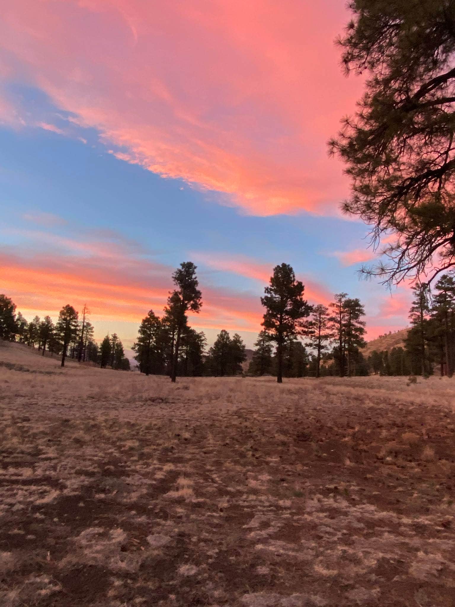 Camper-submitted photo at Sunset Crater near Flagstaff, AZ