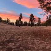 Review photo of Sunset Crater by Kathy B., April 1, 2026