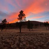 Review photo of Sunset Crater by Kathy B., April 1, 2026