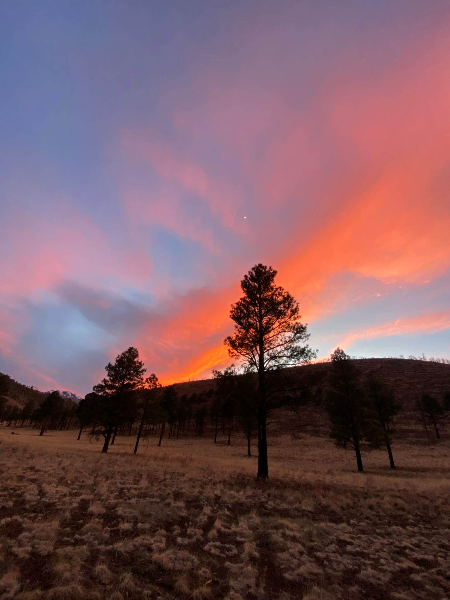 Camper-submitted photo at Sunset Crater near Flagstaff, AZ