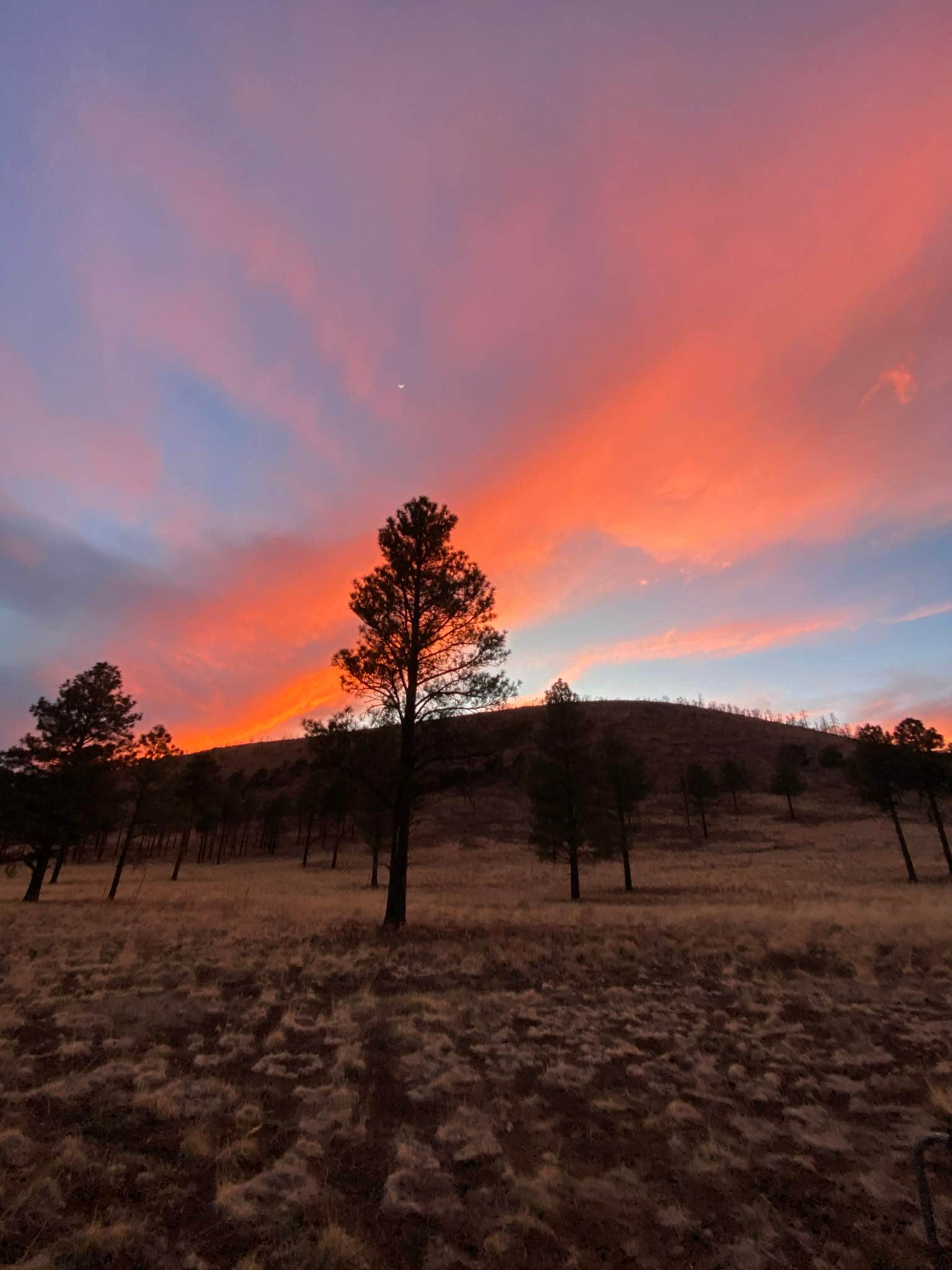 Camper-submitted photo at Sunset Crater near Flagstaff, AZ