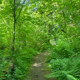Review photo of Skokomish Park at Lake Cushman by Kathy B., April 1, 2026
