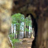 Review photo of Timothy Lake Meditation Point by Kathy B., April 1, 2026