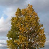 Review photo of Laramie RV Resort by Kathy B., April 1, 2026