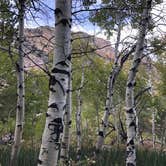 Review photo of Popo Agie Campground — Sinks Canyon State Park by Kathy B., April 1, 2026