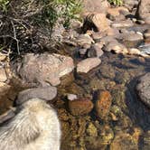 Review photo of Popo Agie Campground — Sinks Canyon State Park by Kathy B., April 1, 2026