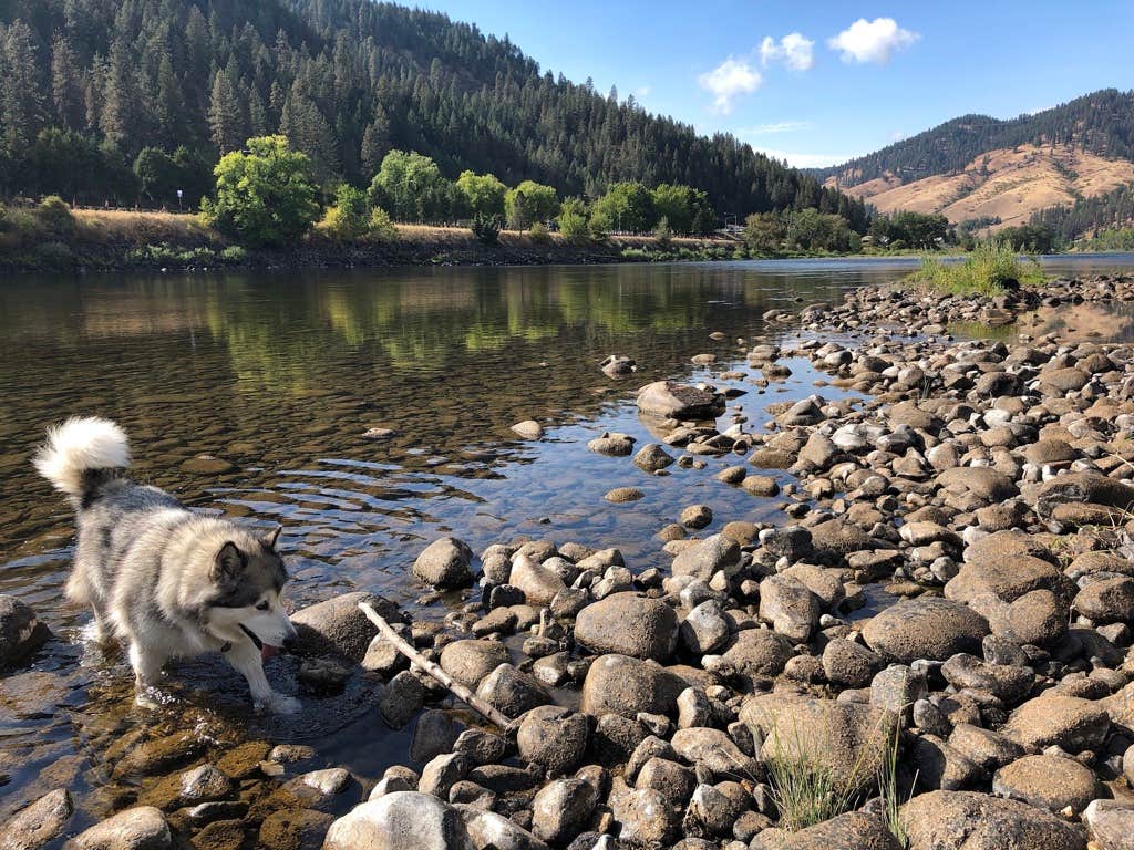 Kathy B.'s photo of camping with pets at Clearwater Crossing RV Park near Lenore, ID