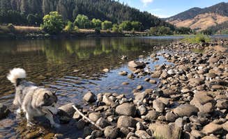 Kathy B.'s photo of camping with pets at Clearwater Crossing RV Park near Lenore, ID