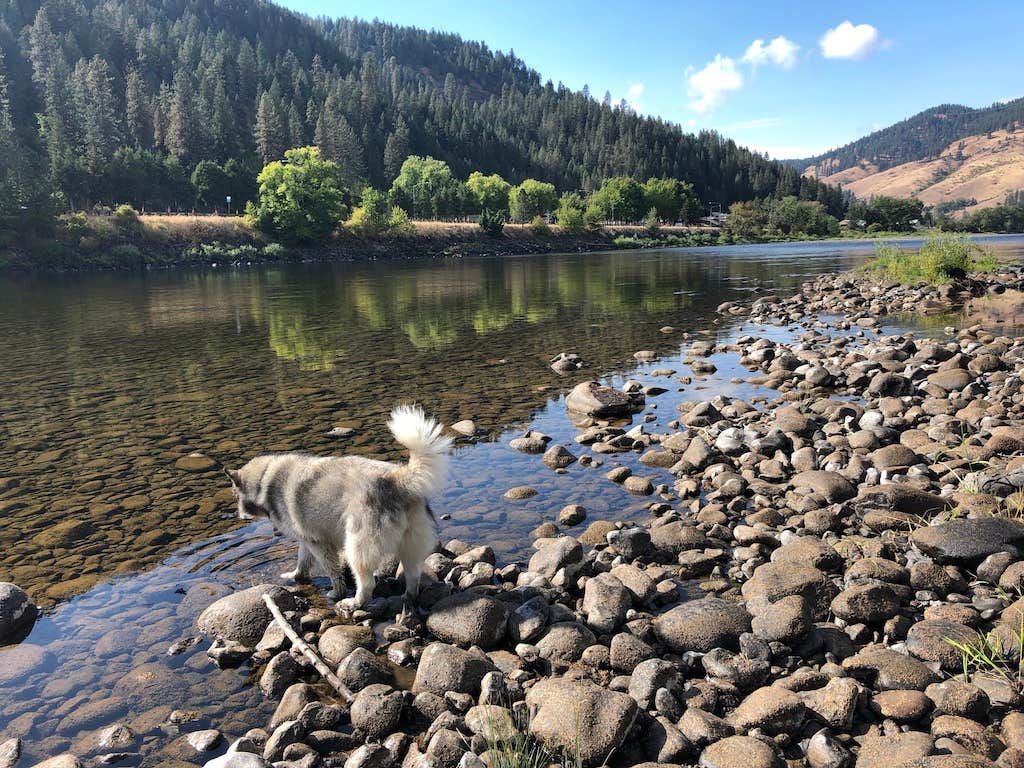 Camper-submitted photo at Clearwater Crossing RV Park near Ahsahka, ID