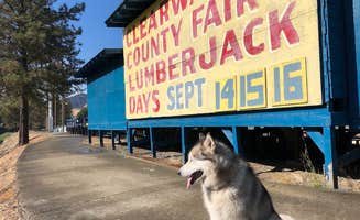 Kathy B.'s photo of camping with pets at Clearwater Crossing RV Park near Winchester, ID
