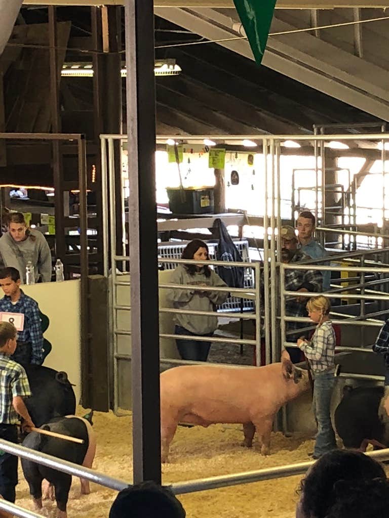 Camper-submitted photo at Clearwater Crossing RV Park near Lenore, ID