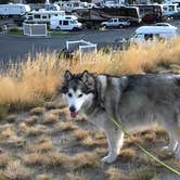 Review photo of Blue Valley RV Park by Kathy B., April 1, 2026