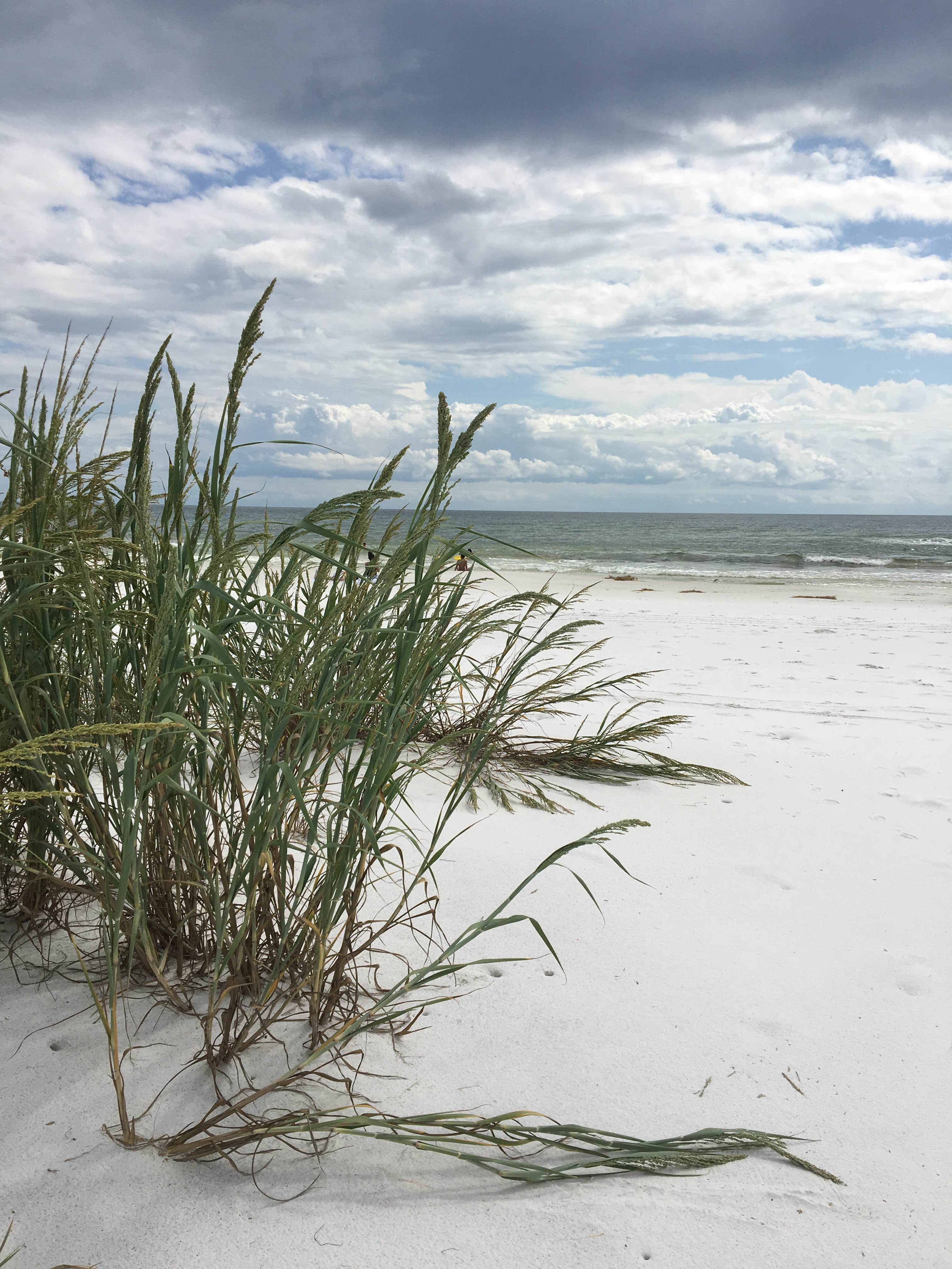 Camper submitted image from Raptor Ranch at Tyndall AFB - 2