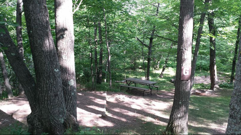 Camper submitted image from Spirit Mountain Campground - 3