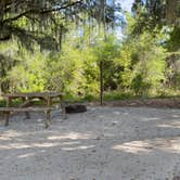 Review photo of Lake Louisa State Park Campground by Daryl G., April 2, 2026