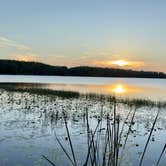 Review photo of Lake Louisa State Park Campground by Daryl G., April 2, 2026
