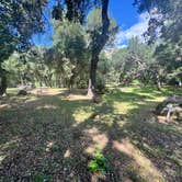 Review photo of Los Prietos by Anapatricia N., April 2, 2026