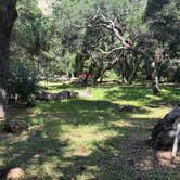 Review photo of Los Prietos by Anapatricia N., April 2, 2026