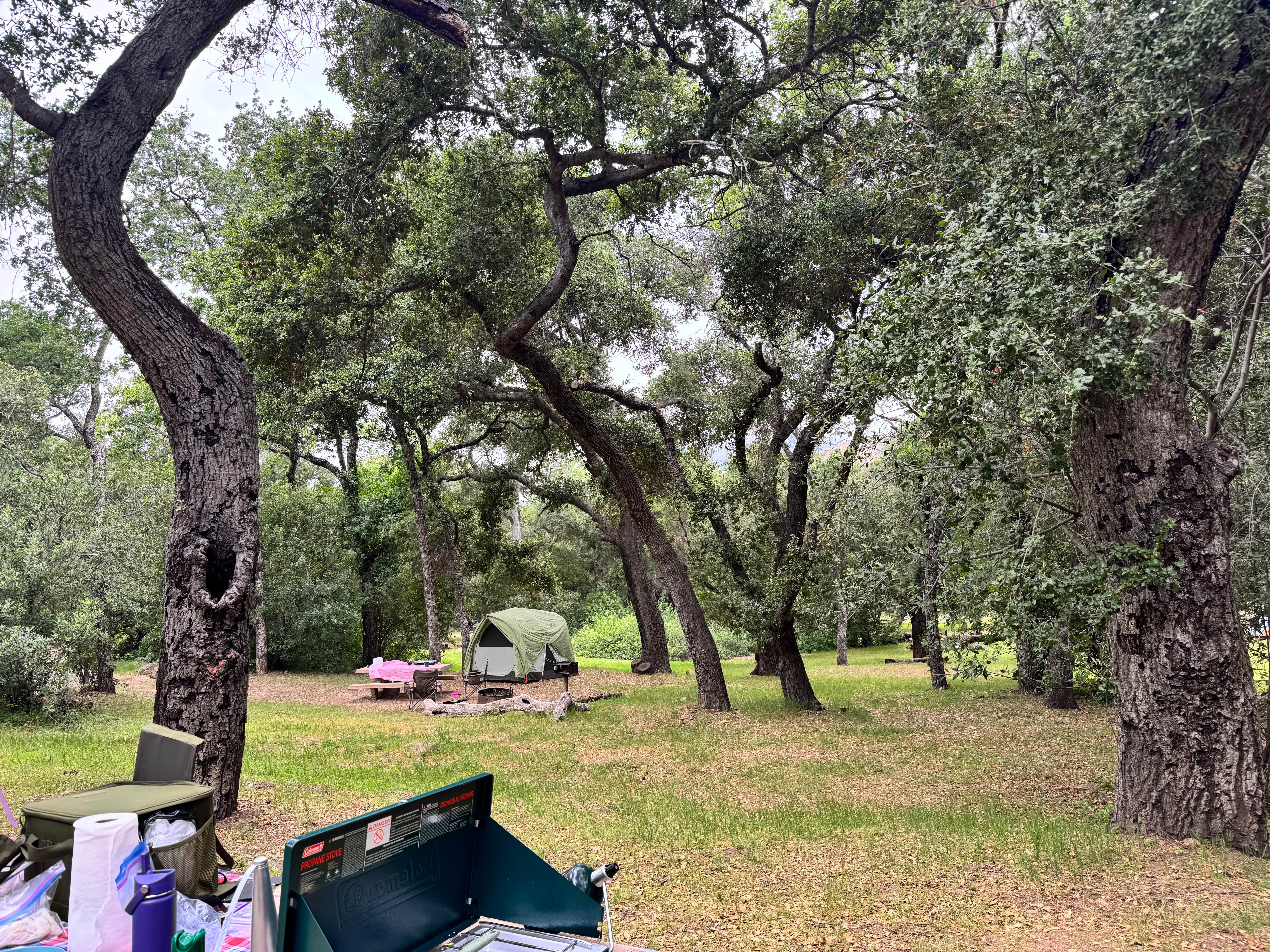 Camper-submitted photo at Los Prietos near Santa Barbara, CA