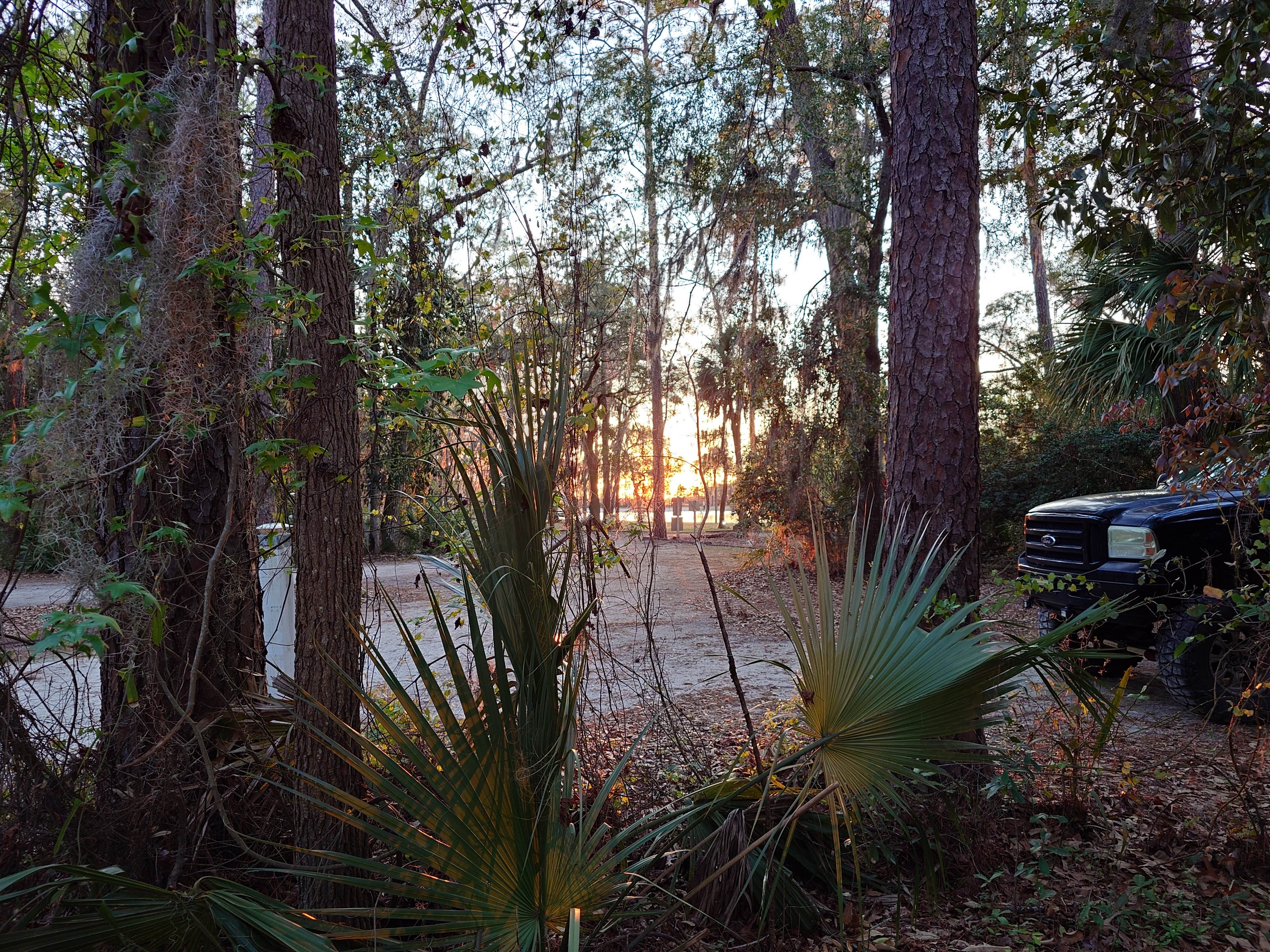 Camper-submitted photo at Blythe Island regional campground Georgia near Brunswick, GA